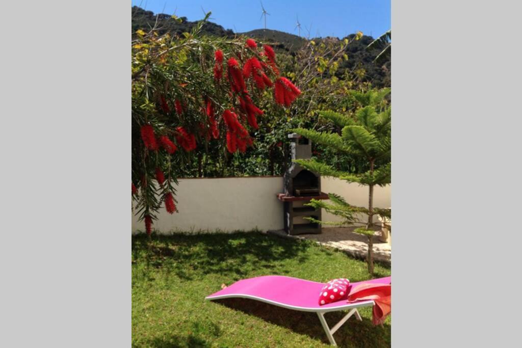 Apartment La Pena Rojo Wifi ตาริฟา ภายนอก รูปภาพ